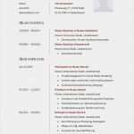 Schülerpraktikum Bewerbung Vorlage Word Schönste Bewerbungsmuster Verkäufer