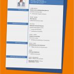 Schulischer Lebenslauf Vorlage Cool 12 Lebenslauf Muster Word