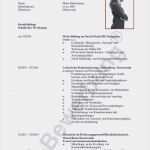 Schulischer Lebenslauf Vorlage Erstaunlich 20 Lebenslauf Schulischer Werdegang