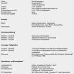 Schulischer Lebenslauf Vorlage Erstaunlich 20 Schulischer Lebenslauf Vorlage