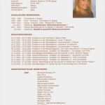 Schulischer Lebenslauf Vorlage Fabelhaft Schulischer Lebenslauf