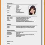 Schulischer Lebenslauf Vorlage Hübsch 20 Lebenslauf Schulischer Werdegang