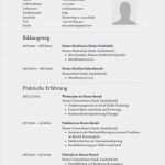 Schulischer Lebenslauf Vorlage Luxus 31 Best Lebenslauf Vorlagen & Muster Images On Pinterest