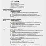 Schulischer Lebenslauf Vorlage Süß 20 Schulischer Lebenslauf Vorlage