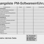 Schulungsplan Mitarbeiter Vorlage Erstaunlich Projektbeispiel „einführung Einer Pm software
