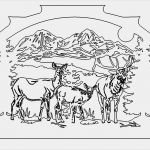 Schwibbogen Vorlagen Download Schönste Schwibbogen Candle Arch Das Download Portal Für Dxf