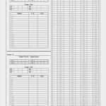 Scouting Basketball Vorlage Schönste Lovely Printable Basketball Stat Sheet Template