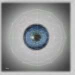 Secret City Textur Vorlagen Wunderbar Secret City forum thema Anzeigen Sammelstelle Für