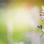 Seite Befindet Sich Im Aufbau Vorlage Erstaunlich Diese Seite Befindet Sich Im Aufbau Naturheilpraxis