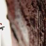 Seite Befindet Sich Im Aufbau Vorlage Süß Artandadvertising – Diese Seite Befindet Sich Im Aufbau