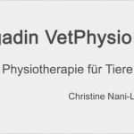 Seite Befindet Sich Im Aufbau Vorlage Wunderbar Fotos Seite Befindet Sich Im Aufbau Engadin Vetphysio