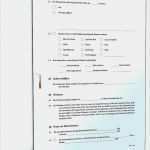 Selbstauskunft Mieter Vorlage 2018 Erstaunlich Selbstauskunft Mieter Vorlage