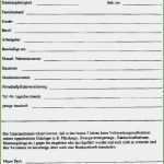 Selbstauskunft Mieter Vorlage 2018 Genial Mieterselbstauskunft Vorlage Word Großen