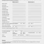 Selbstauskunft Mieter Vorlage 2018 Luxus Immobilien Scott Gmbh