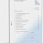 Selbstauskunft Vorlage Bank Angenehm Einkommenserklärung Selbstauskunft