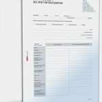 Selbstauskunft Vorlage Bank Luxus Selbstauskunft Eines Mietinteressenten Muster Vorlage