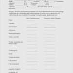 Selbstauskunft Vorlage Bank Schönste 40 Angenehm Selbstauskunft Vorlage Bank Abbildung