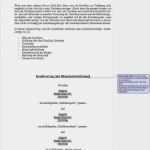 Selbstschuldnerische Bürgschaft Vorlage Erstaunlich Ziemlich Vorlage Für Die Bürgschaftsvereinbarung