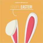 Selection Fitness Kündigung Vorlage Hübsch orelhas Coelho Vetores E Fotos