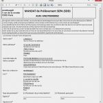Sepa Mandat Vorlage Best Of Base De Mandats