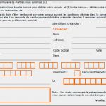 Sepa Mandat Vorlage Inspiration Le Mandat Sepa