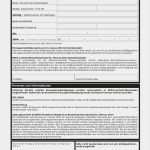 Sepa überweisung Vorlage Gut Fakten Zu Sepa Iban Und Bic