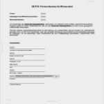 Sepa überweisung Vorlage Pdf Süß Charmant Zahlungsanweisung Vorlage Galerie