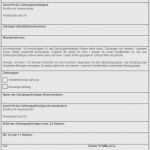 Sepa überweisung Vorlage Pdf Wunderbar Sepa Lastschriftmandat Vorlage Pdf Bewundernswert