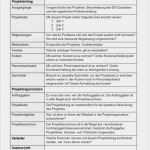 Server Dokumentation Vorlage Word Angenehm Projektantrag Vorlage Word format