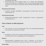 Server Dokumentation Vorlage Word Cool Haccp Kuche Checkliste