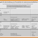 Server Dokumentation Vorlage Word Luxus 8 Protokoll Schreiben Beispiel