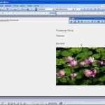 Sigel Visitenkarten Vorlage Word Cool Fein Microsoft Word Notizblock Vorlage Fotos Beispiel