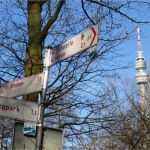 Signal Iduna Kündigung Vorlage Einzigartig Grünes Dortmund