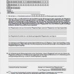 Sis Ambulant Vorlage Einzigartig formularcenter