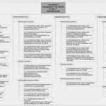 Sis Ambulant Vorlage Erstaunlich Fein Demenz Pflegeplan Vorlage Galerie