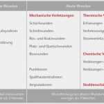 Sis Ambulant Vorlage Großartig 1026 Essay On Cleanliness and Hygiene Artikelbild