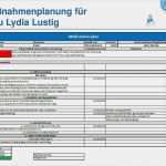 Sis Ambulant Vorlage Inspiration Strukturierte Informationssammlung Sis Fallbeispiel