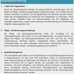 Sis Pflegeplanung Vorlage Angenehm Unten Links Werden Sie Merken Dass Ins Textfeld Schon Ein