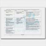 Sis Pflegeplanung Vorlage Elegant Komplette Umfangreiche Pflegeplanung Demenz Apoplex Ebay