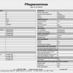 Sis Pflegeplanung Vorlage Elegant Vorlagen – Meinpfleg Nst