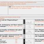 Sis Pflegeplanung Vorlage Großartig Komplette Umfangreiche Pflegeplanung Demenz Apoplex Ebay