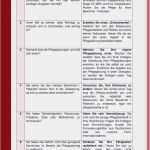 Sis Pflegeplanung Vorlage Gut Neues Pflegeplanung Muster Zum Ausdrucken