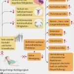 Sis Pflegeplanung Vorlage Gut Pflegeanamnese Vorlage Ihre Suche Nach Pflegeplanung