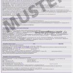 Sis Pflegeplanung Vorlage Hübsch Stationär Bei Pflege Zeit