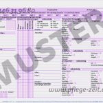 Sis Pflegeplanung Vorlage Süß Stationär Bei Pflege Zeit