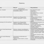 Sis Pflegeplanung Vorlage Süß Unten Links Werden Sie Merken Dass Ins Textfeld Schon Ein