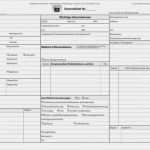 Sis Vorlage Erstaunlich 87 001 Stammblatt Stationär Plan2care Stationär Sis