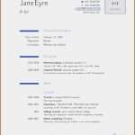 Sis Vorlage Wunderbar 11 Lebenslauf Auf Franzosisch Vorlagen123 Vorlagen123