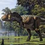 Sky Paket Kündigen Vorlage Schön Gratis Download Spiele