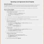 Sla Service Level Agreement Vorlage Großartig Ola Operational Level Agreement Template